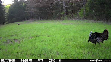 0 Moore Rd, Bolivar, TN 38008 - photo 3