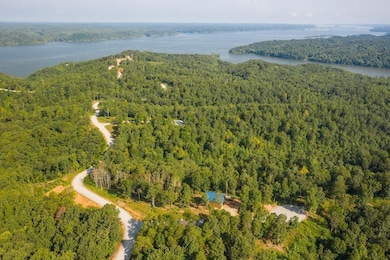 0 Pelican Ct unit RTC2975533, Waverly, TN 37185 - photo 5