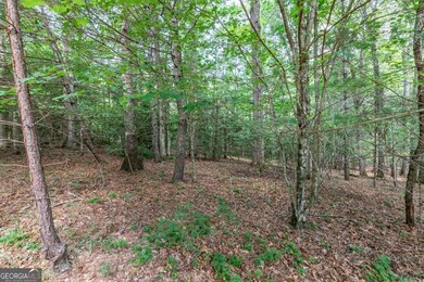 LOT 2 Rocking Chair Ridge, Mineral Bluff, GA 30559 - photo 5