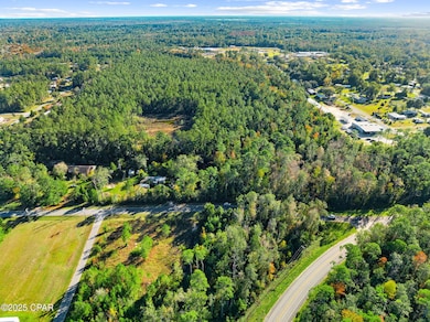 TBD Pear St, Wewahitchka, FL 32465 - photo 2