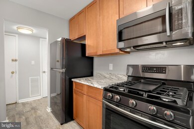 3364 Hewitt Ave unit 101, Silver Spring, MD 20906 - photo 4