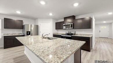 35570 Vandora Dr, Denham Springs, LA 70706 - photo 4