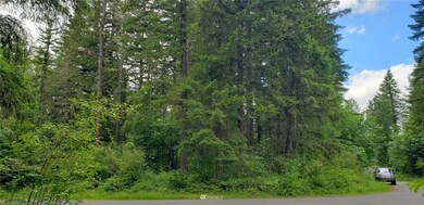 272 XX 96th Ave E, Graham, WA 98338 - photo 2