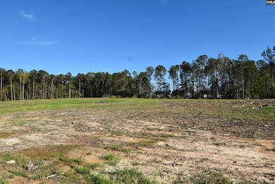 Lot 4 Gold Nugget Point, Prosperity, SC 29127 - photo 2
