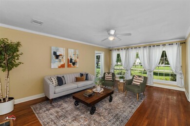 Living room with ceiling fan, dark wood-type floor