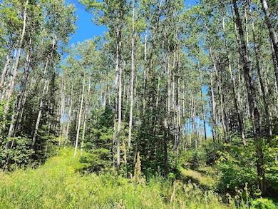 XX Black Granite Tr, Hovland, MN 55606 - photo 7