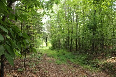 150=911# Cr 233 (King Bailey Road), Oxford, MS 38655 - photo 5