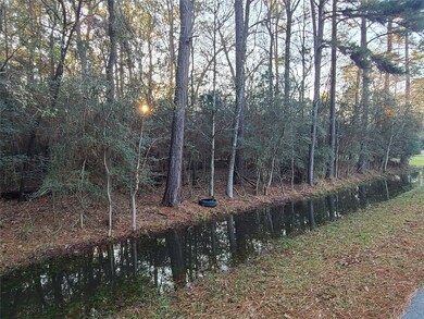 0 Weisinger unit 21165833, Magnolia, TX 77359 - photo 2