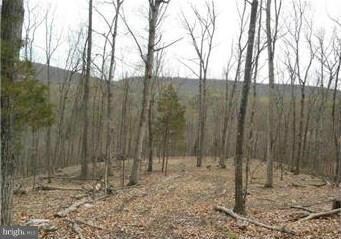 0 Noland Ridge Rd unit 1000215419, Slanesville, WV 25444 - photo 7