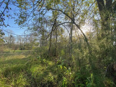 0 Cowan Rd unit 34856976, Algoa, TX 77511 - photo 5