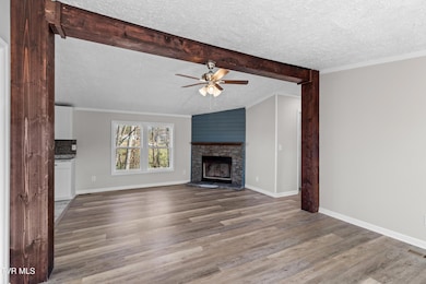 120 Hensley Loop, Jonesborough, TN 37659 - photo 7