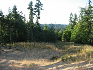 0 S Bird Rd, Molalla, OR 97038 - photo 5