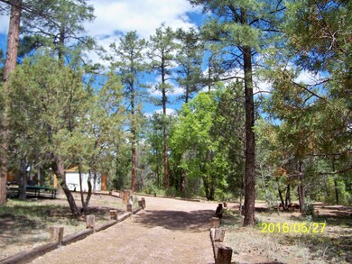 heavily treed