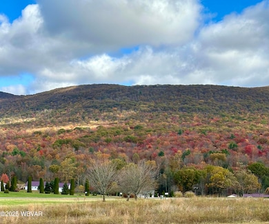 196 Deer View Rd, Unityville, PA 17774 - photo 6