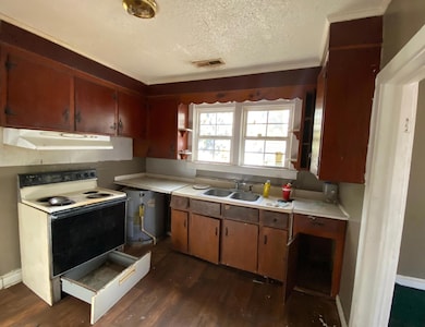 316 Munnerlyn St, Bishopville, SC 29010 - photo 4