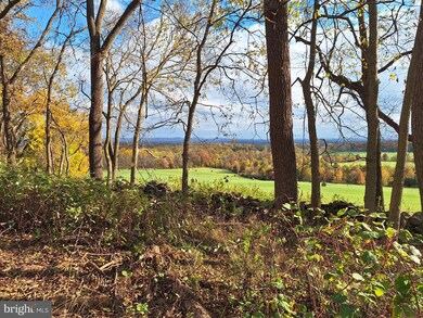 0 Ridgeside Rd unit VALO2060072, Bluemont, VA 20135 - photo 4