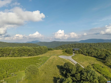 Lot 4 Twelve Ridges Way unit 4, Vesuvius, VA 24483 - photo 5