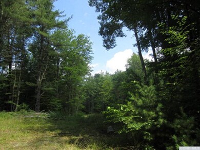 727 Garfield Rd, Stephentown, NY 12168 - photo 4