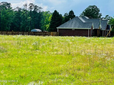 1085 Davenport Farm Rd, Greenville, NC 27834 - photo 3