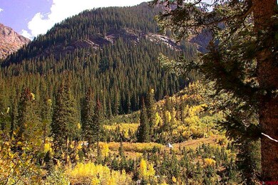 TBD Needle Creek Trail, Durango, CO 81301 - photo 3