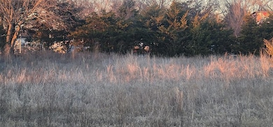 View of local wilderness