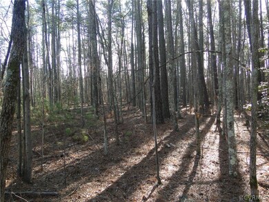 Lot 4 Branchway Creek Dr, Powhatan, VA 23139 - photo 2