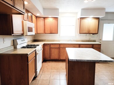 307 Willard Ave, Lincoln, IL 62656 - photo 5