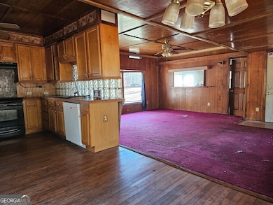 331 Mountain View Cir, Bremen, GA 30110 - photo 4