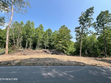 0 Ditney Trail unit 3 1303567, Pioneer, TN 37847 - photo 4