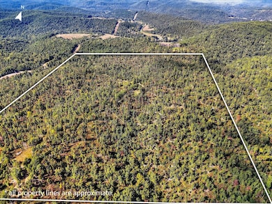 000 Cr D-325, Eminence, MO 65466 - photo 7