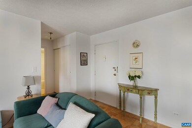 511 1st St N unit 309, Charlottesville, VA 22902 - photo 6