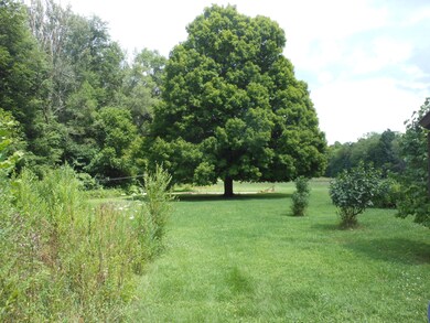 DSCN5118