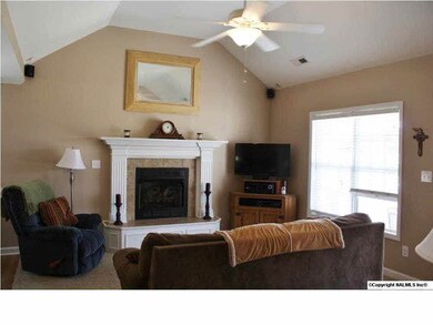 Family Room w/vaulted ceiling and Gaslog Fireplace