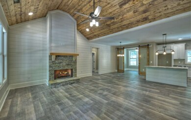 272 Ivy Cove Ln, Ellijay, GA 30536 - photo 4