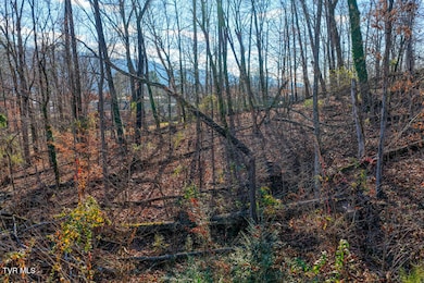 Tbd Blackheath Rd, Kingsport, TN 37660 - photo 5