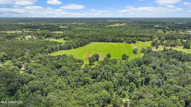 0 James Boyakin Barnett Rd, Mendenhall, MS 39114 - photo 5