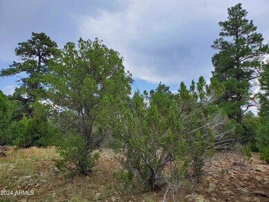 Pine Trees
