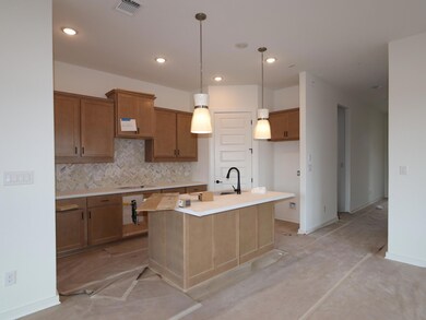 553 Darley Oaks Dr, Dripping Springs, TX 78620 - photo 5