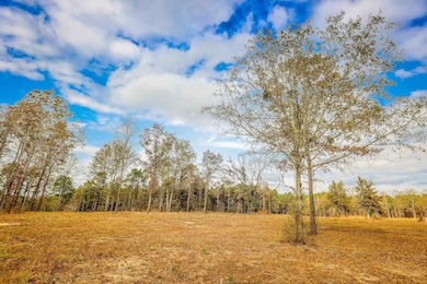 26 AC Cr 3103, Winona, TX 75792 - photo 7