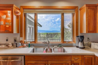 Dishwasher's View
