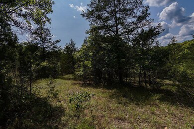 Arroyo 2