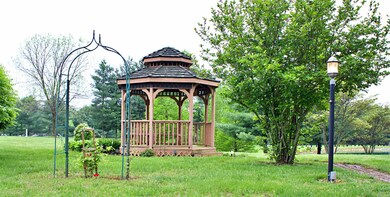 Carousel Image