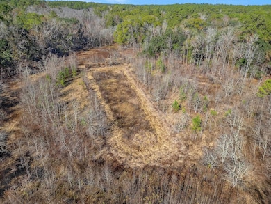 XX Gardners Farm Rd, Tallahassee, FL 32312 - photo 6