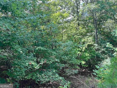 0 Northshore Dr unit 10640788, Cleveland, GA 30528 - photo 4