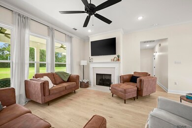 17906 Critter Cove Ln, Livingston, LA 70754 - photo 7