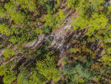 LOT 61 NE 899th St, Old Town, FL 32680 - photo 5