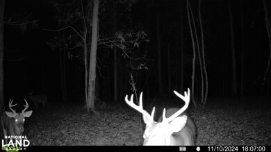 0 Old Hwy 51 NE, Brookhaven, MS 39601 - photo 5