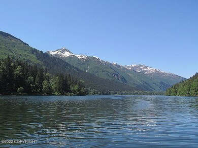 Summer Lake Views