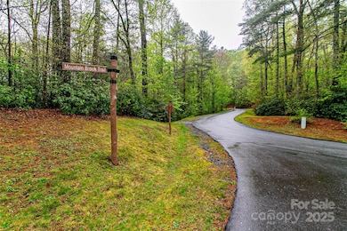 TBD High Hemlock Trail unit 46, Brevard, NC 28712 - photo 6