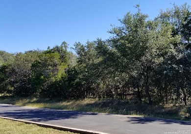 22248 Angostura Blvd, San Antonio, TX 78261 - photo 6